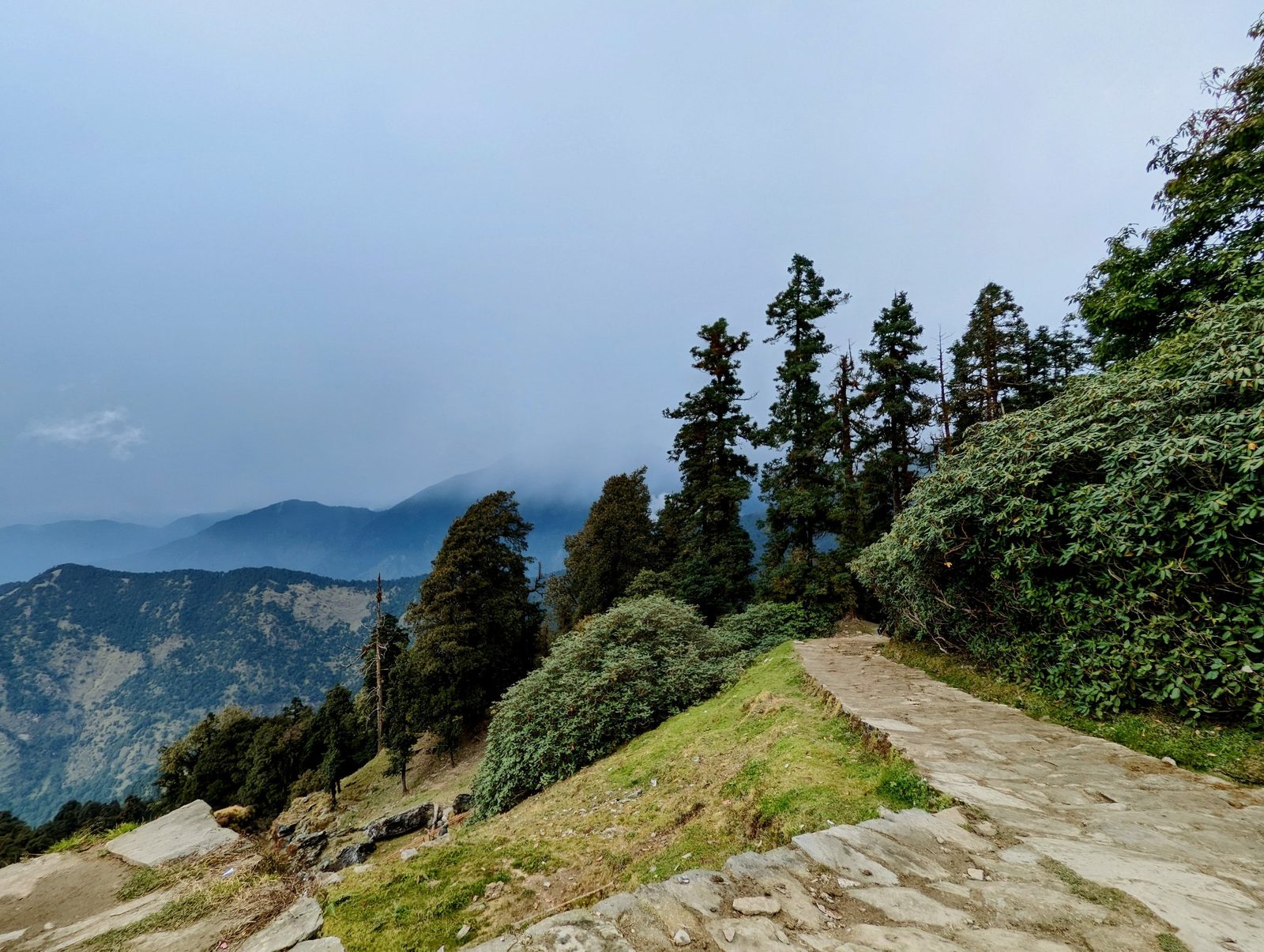 How Fit Do You Need to Be for Your First Himalayan Trek? An Honest Self-Check