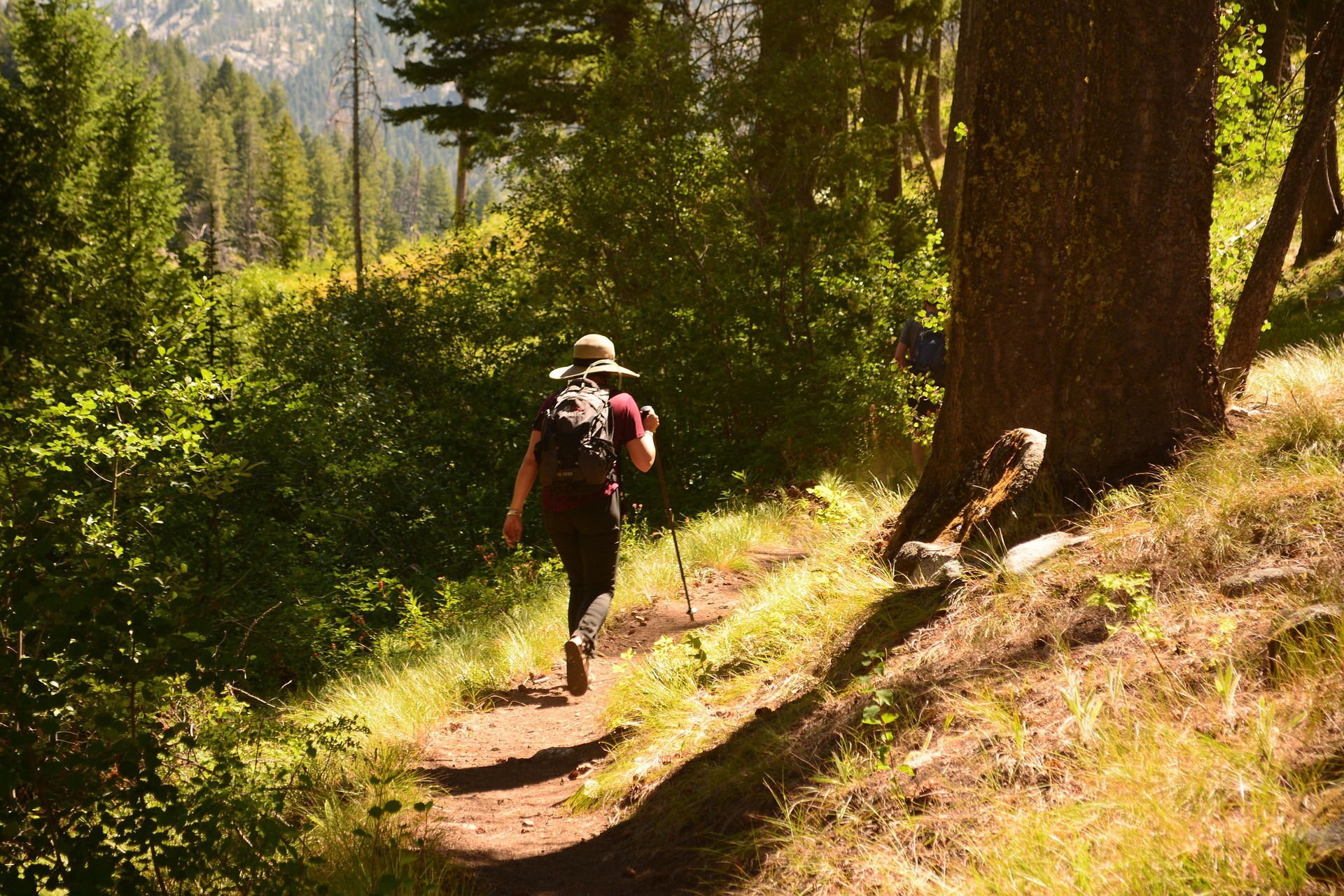Hiker with red backpack trekking a Himalayan trail toward snow-capped peaks